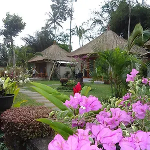 3* Bed and breakfast Suka's House
